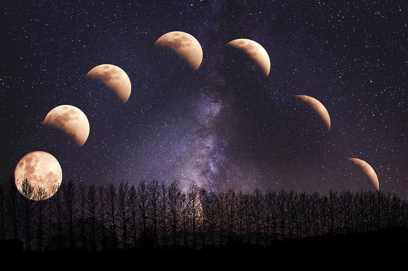 Eclipse Celebrations